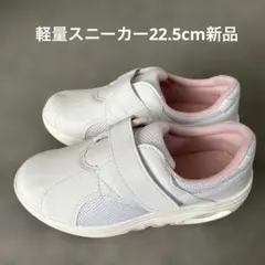 Item thumbnail for item b6244b95-be7a-45b3-bdac-f44476a90606