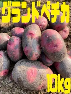 じゃがいも グランドペチカ 10kgのサムネイル