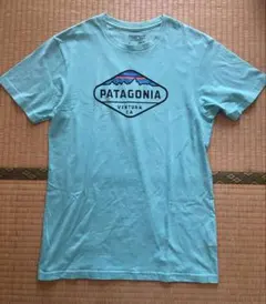 PATAGONIA ライトブルー Tシャツ Mサイズ