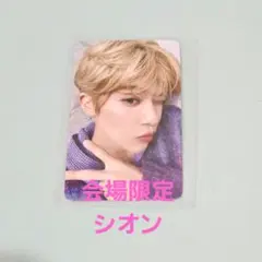 NCT WISH 会場限定 トレカ シオン