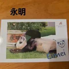 アドベンチャーワールド ブラインドミニカード 永明