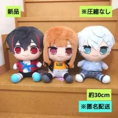 新品　カラフルピーチ おおきなBIGぬいぐるみ ゆあん えと　ヒロ　3体