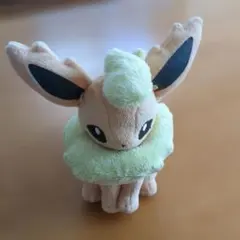 ポケットモンスター ポケモン アイラブイーブイ ぬいぐるみ ブースター