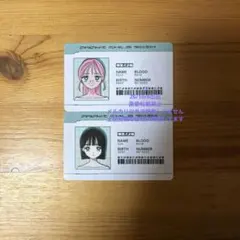 エイステ エイリアンステージ アナクトガーデン IDカード スア ミジ