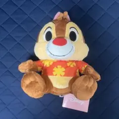 칩과 데일 플러시