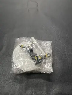 いうことをきかない　ブラッキー
