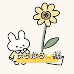 まるはる⭐様 リクエスト 2点 まとめ商品