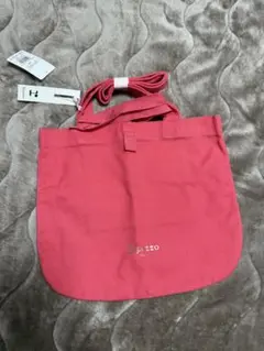 レッスンバッグ