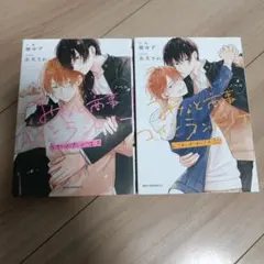 ノベル みなと商事コインランドリー いれかわりの恋、うたかたのキス