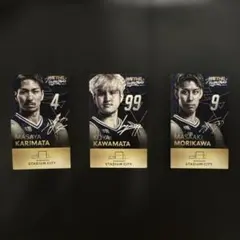 長崎ヴェルカ 選手ステッカー　3枚セットのサムネイル