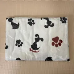 Item thumbnail for item 28f60143-d67f-469c-b960-04c5608343a6