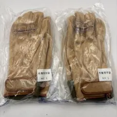 Item thumbnail for item 223033b0-444d-403e-8799-83f41955c25b