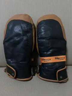 Item thumbnail for item 6629ed34-8d7a-4df4-b25c-fdda6765e40e