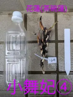 ぱんだ様 リクエスト 3点 まとめ商品