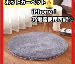 ペット用ホットカーペット　ヒーター　犬猫用　USB給電　安全　座布団　椅子　青