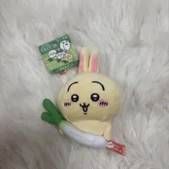 【ちいかわ】　うさぎ ご当地マスコット　埼玉限定　深谷ねぎ
