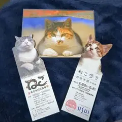 岩合光昭 ねこ歩き ポストカード　写真展　使用済みチケット