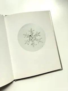 2025年最新】川内倫子 サインの人気アイテム - メルカリ