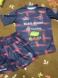 zott ダウポンチ