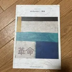 2025年最新】andymori 革命の人気アイテム - メルカリ