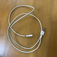 充電ケーブル 損傷あり