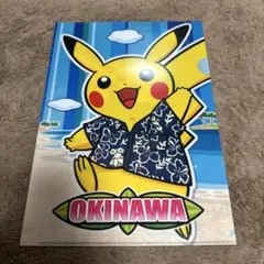 ポケモンセンターフクオカ 福岡 A4 クリアファイル 2枚セット ポケモン