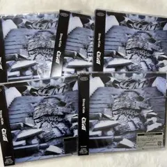 Straykids スキズ CD GIANT 通常版5枚セット