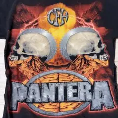 WINTERLAND PANTERA リメイクTシャツ 両面プリント