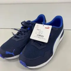 Item thumbnail for item cd7d0c13-09bf-4786-a604-91631b02d0cf