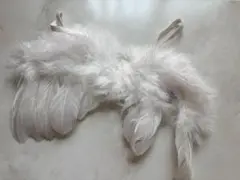 チャコット Chacott☆バレエ 白鳥の湖 頭飾り 羽 - メルカリ