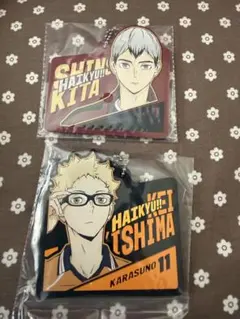 ハイキュー　一番くじ　ラバスト　北　月島