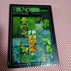 斑入り植物写真集Variegated Plants 原色草木錦葉集ガーデンライフ