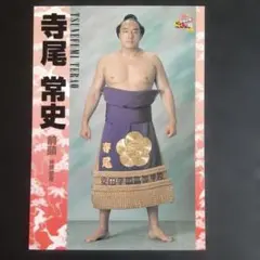 BBM 2015 大相撲 至宝　寺尾常史　直筆サインカード　/90 15BBM 大相撲カード LEGEND 至宝 #33 寺尾 常史 : スポーツカード