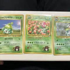 エリカのフシギダネ フシギソウ フシギバナ　進化ライン　旧裏