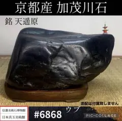 お値下げ 希少 八海山石6.5kg ウブ石】アクアリウム ジャグレ石 水無川