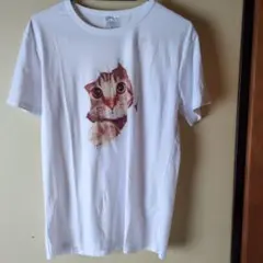 猫Tシャツ