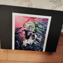 REPSYCLE～hide 60th Anniversary Special Box～ - メルカリ