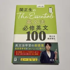 関正生のThe Essentials 英文法 必修英文100