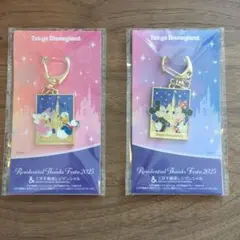 東京ディズニーランド キーホルダーセット 2025
