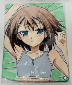 キャラハイ バカとテストと召喚獣 島田美波 抱き枕 - メルカリ