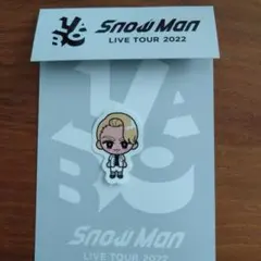 SnowMan スノラボ すのチル ステッカー ラウール1枚