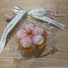 Item thumbnail for item c38caf21-ec52-4126-9cd5-19c40f0b386b