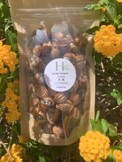 石垣島産 月桃の実 乾燥　100g