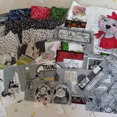 ❣️パネルとハギレ❣️USAコットン