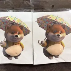 柴犬おなかシール　傘２枚