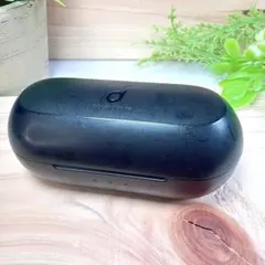 Soundcore Liberty Neo2 充電ケースのみ