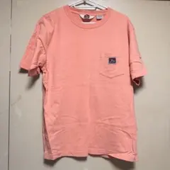 BEN DAVIS tシャツ