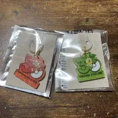 ポケモン アクリルキーホルダー ヒコザル ナエトル 30周年