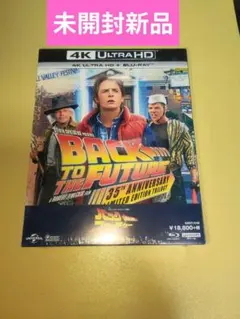 フローティング BTTF2 タイムマシン ゴールド バック
