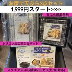 パール金属 涼味家 スクエア天ぷら鍋20cm 3点セット 新品 1999スタートのサムネイル